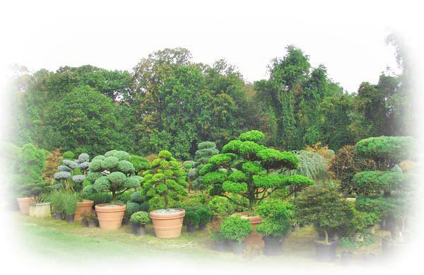 Nursery Entrance